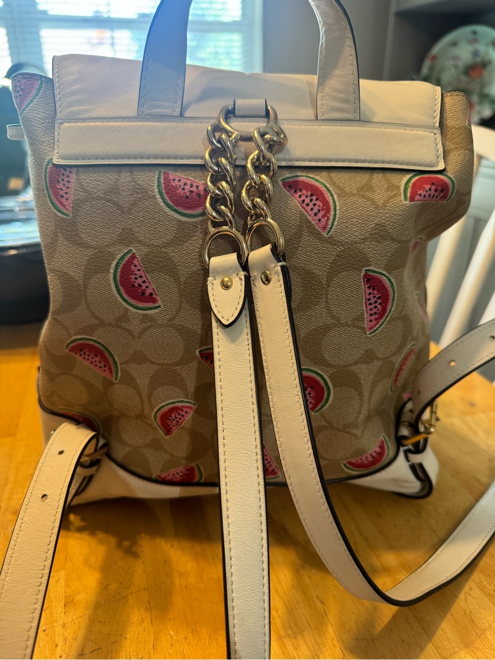 Coach Watermelon Print Signature Canvas Drawstring Backpack - White/Tan - Picture 3 of 9